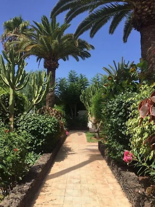 Terrace Flor Apartment Costa Adeje